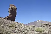 Roque Cinchado