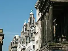 Los Liver Birds se elevan sobre Dale Street y el Ayuntamiento