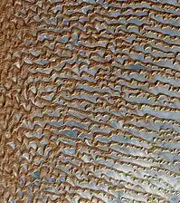 Dunas de arena de Rub' al Khali (barrio vacío árabe) captadas por Terra (EOS AM-1). La mayoría de estas dunas son dunas seif. Su origen de barchans es sugerido por los "ganchos" remanentes rechonchos vistos en muchas de las dunas. El viento sopla de izquierda a derecha.