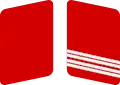 Parche de cuello de las SA