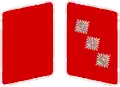Parches de cuello de las SA