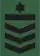 Suboficial Maestre Ejército EB Pecho