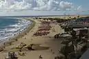 Sebadales de Playa del Inglés