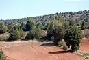 Parameras de Maranchón, hoz del Mesa y Aragoncillo