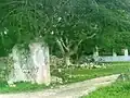 Hacienda.
