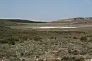 Estepas salinas de Toledo