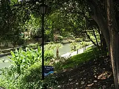 El río San Antonio serpentea por Downtown San Antonio.