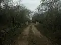 Entrada.