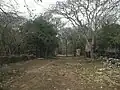 Vista.