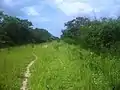 Camino a San Juan Hau.