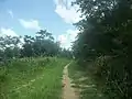 Camino a la hacienda San Juan Hau.