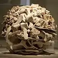 Escultura con huesos de ballena por Andy Goldworthy en la planta baja del museo.