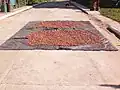 Secando Cacao en la Calle Principal
