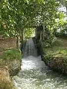 Segunda Máquina del Parque de la Banqueta