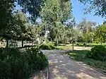 Sendero del parque