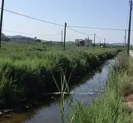 Ses Feixes Prat De Ses Monges (Talamanca)