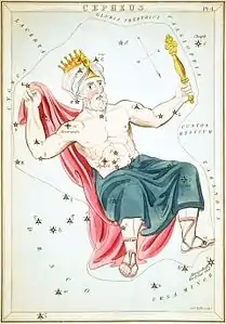 Tarjeta 4: Cepheus