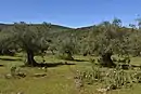 Sierras de Alor y Monte Longo