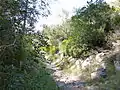 Sendero en la Sierra de Irta