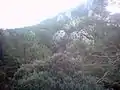 Parque Natural Sierra de Huétor
