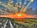 Atardecer en Skadovsk