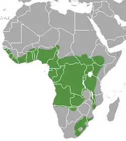 Distribución de H. maculicollis