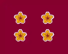 standarte del Viceministro de Defensa de Japón.