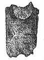 Calcado sobre piedras en la estela 10, Sion, Petit-Chasseur necropolis, Neolítico