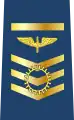Suboficial Mayor de Fuerza Aérea Boliviana