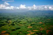 Plantaciones de caña de azúcar en Bacolod, Visayas occidentales.