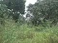 Hacienda.