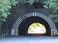 Vista del túnel