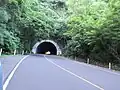 Vista del túnel