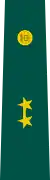 Insignia de Teniente del Ejército.