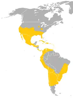 Alcance del murciélago de cola libre