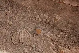Huellas animales