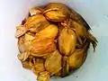 Tamal bola de Chiapa de Corzo.