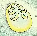 Tamga