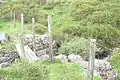 Puente hecho con dos tablones.