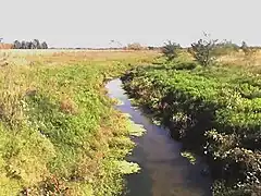 Arroyo de la Cañada Pantanosa.