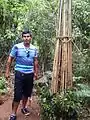 Ñuã Koty : trampa tradicional para la caza del tatú.