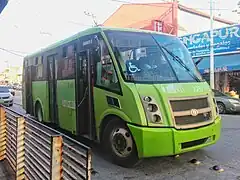 Dina Runner 9