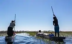 Vista del delta desde un mokoro, la embarcación típica del delta.