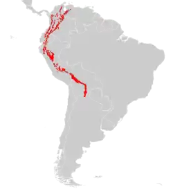 Distribución del oso andino