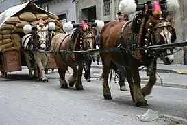 Tres Vueltas de Igualada