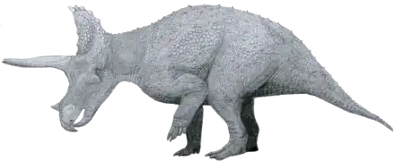 Triceratops
