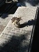 Luis Simarro