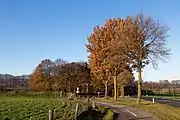 cerca Berg en Dal, los árboles de Zevenheuvelenweg cerca la escultura (de Rode Loper)