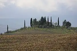 Paisaje del Valle de Orcia