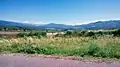Valle de Singuil.